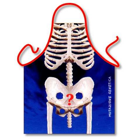Forklæde Skelet - Forklæde fra Itati hos The Prince Webshop